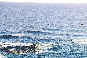 Там где рождается Jaws