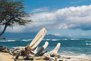 Пляж Канаха