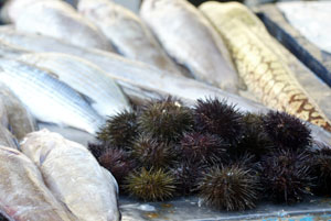 Сеня Шульгин